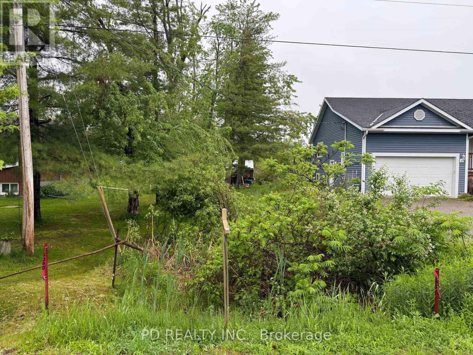 Kawartha Lakes (Emily), Ontario — Kawartha Lakes (Emily), Ontario - Photo 5 of 43