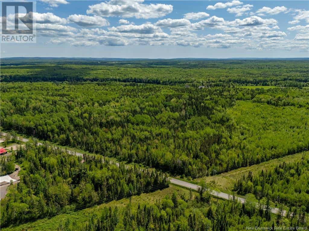 LOT 1 Route 895 — Colpitts Settlement, New Brunswick - Photo 4 of 32
