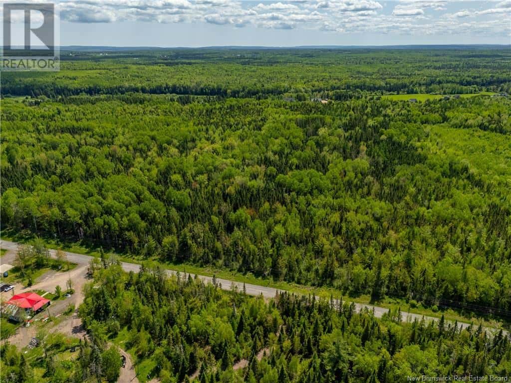 LOT 3 Route 895 — Colpitts Settlement, New Brunswick - Photo 5 of 32