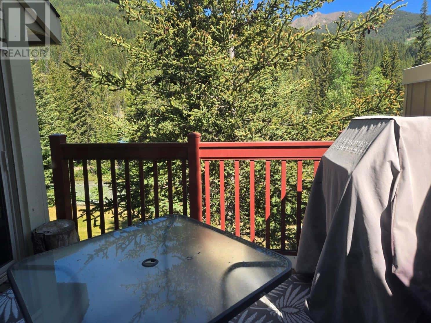 2035 Panorama Drive Unit# 217 — Panorama, British Columbia - Photo 4 of 16