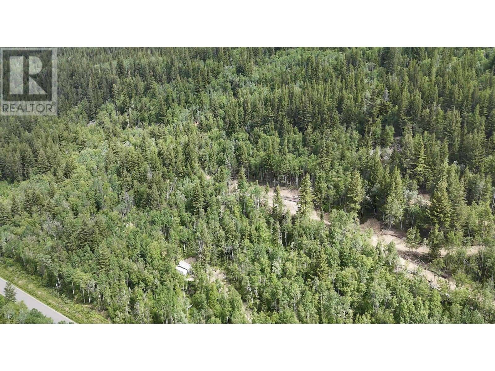 3260 MOUNTAIN VIEW ROAD — McBride, British Columbia - Photo 4 of 30