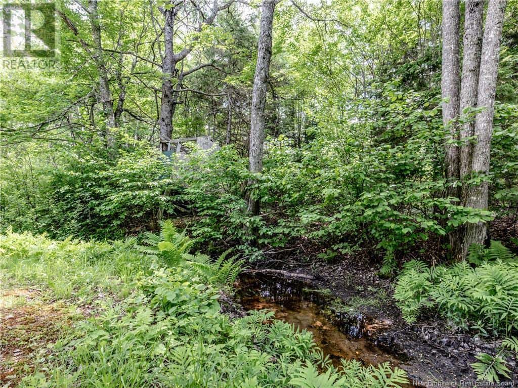 41 Comeau — Saint-Louis-De-Kent, New Brunswick - Photo 5 of 27