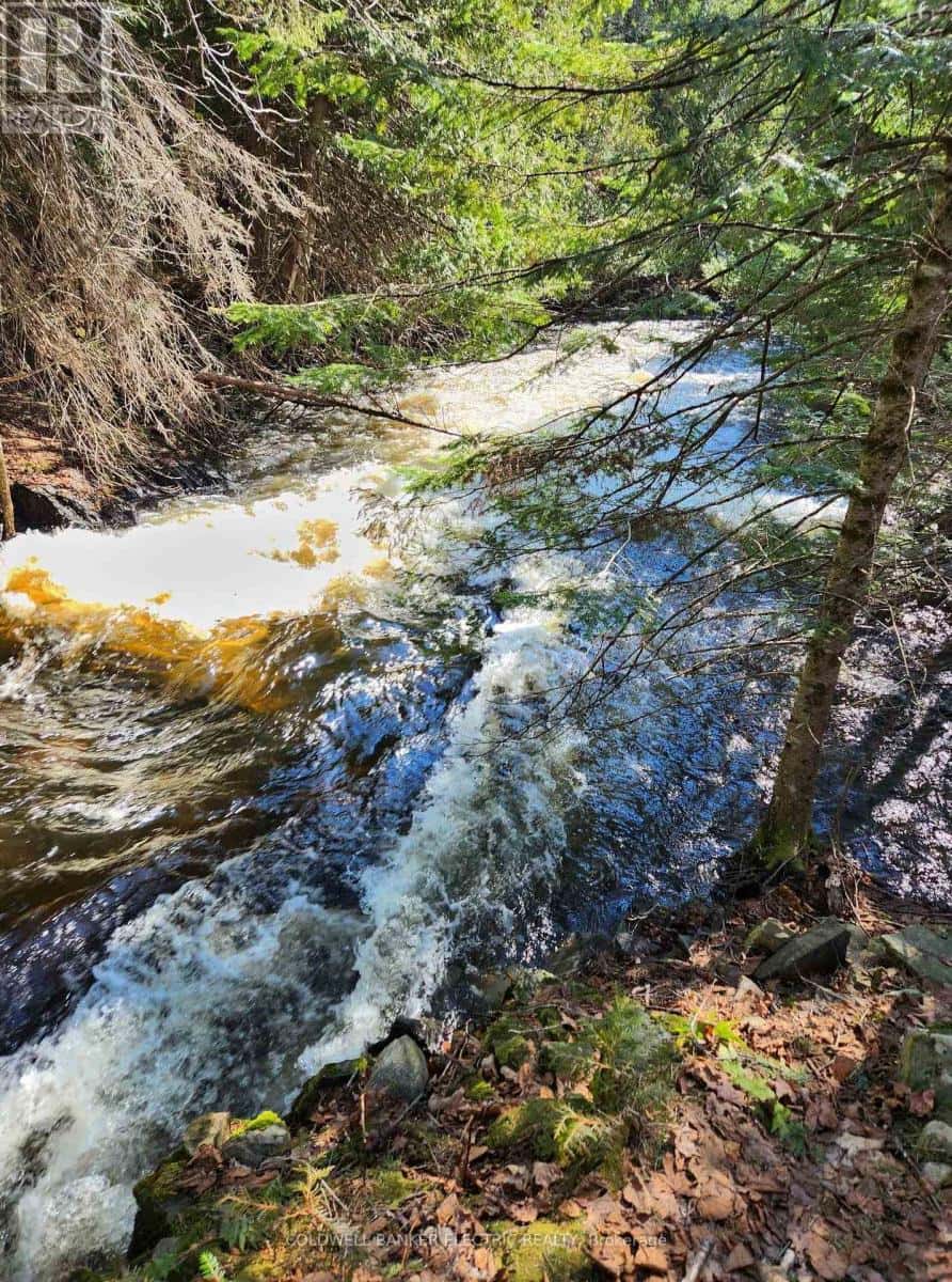 25442 HIGHWAY 62 HIGHWAY — Bancroft (Dungannon Ward), Ontario - Photo 3 of 35