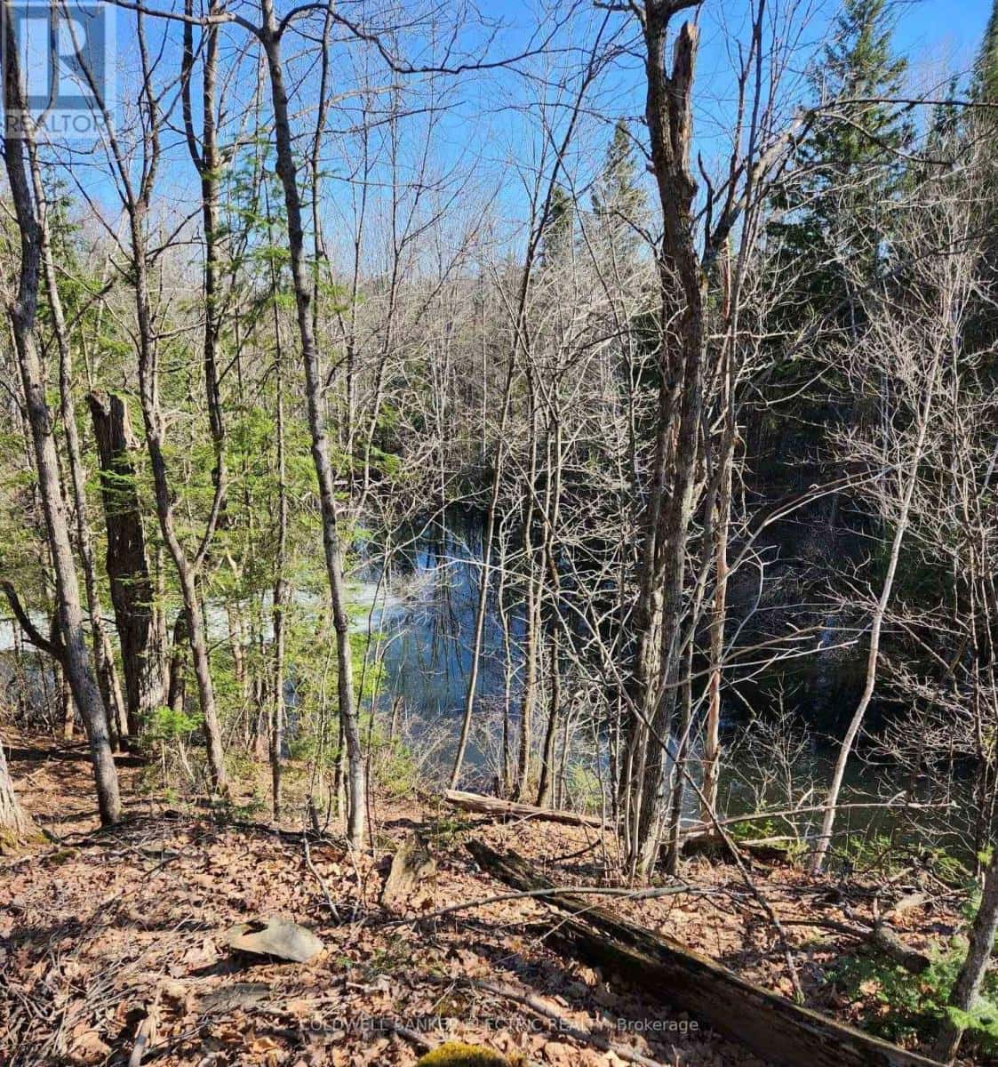 25442 HIGHWAY 62 HIGHWAY — Bancroft (Dungannon Ward), Ontario - Photo 5 of 35