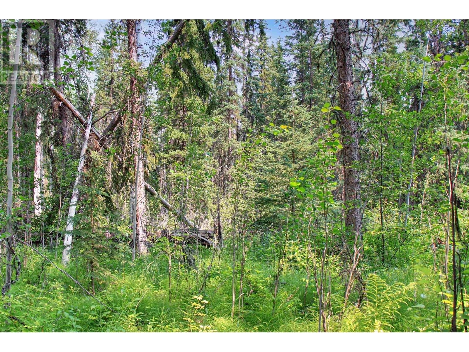 PROP LOT 6 BROWN ROAD — Bridge Lake, British Columbia - Photo 5 of 23