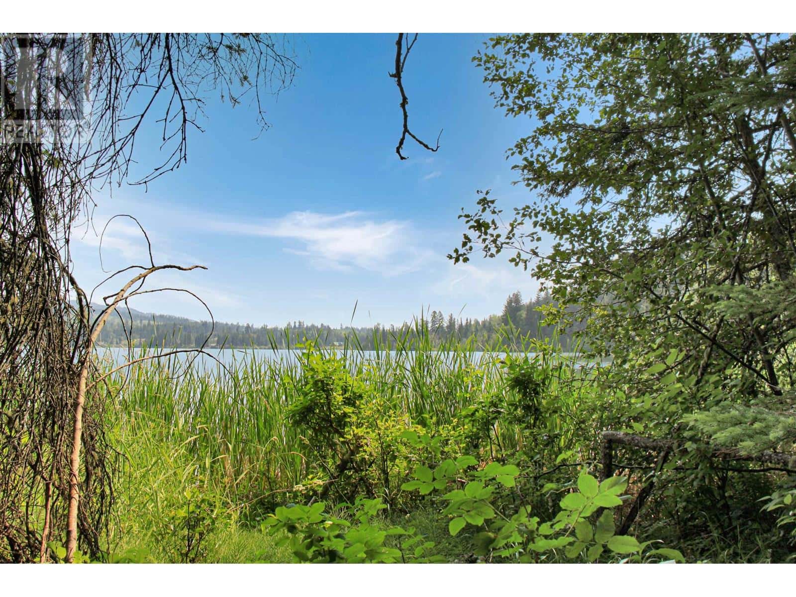 PROP LOT 6 BROWN ROAD — Bridge Lake, British Columbia - Photo 3 of 23