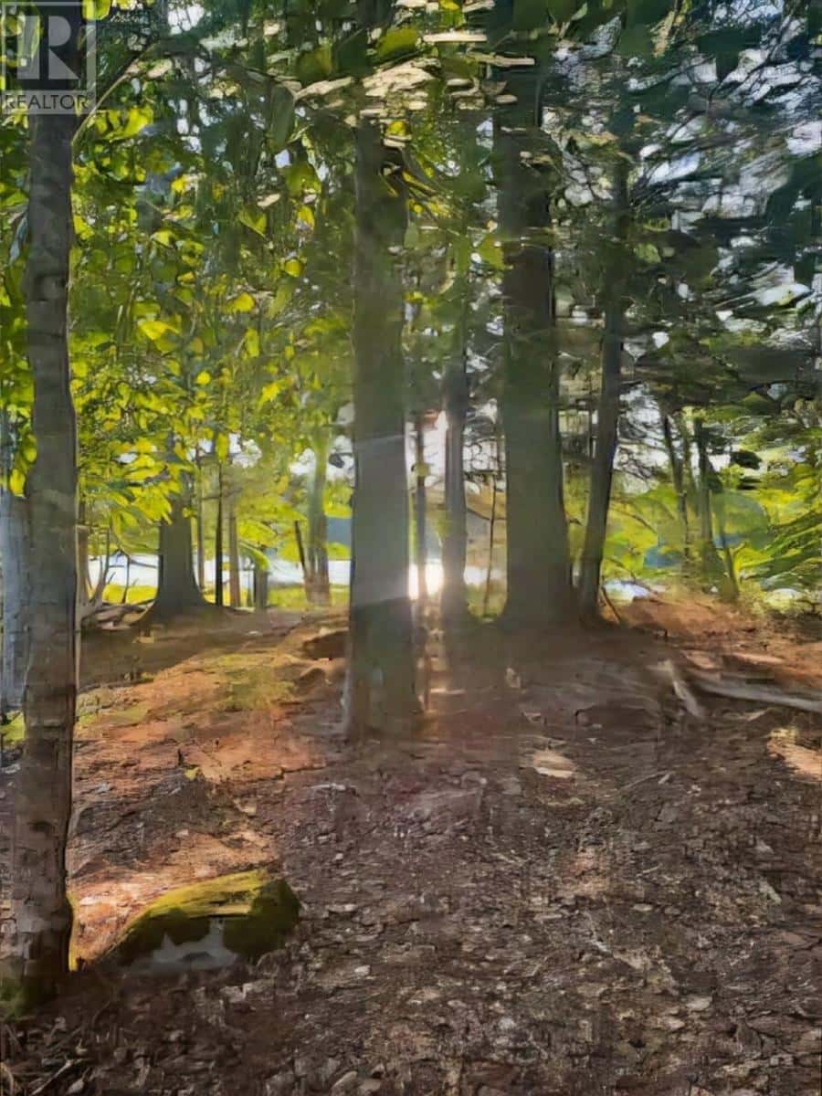 Lot 26 Maplesue Point Drive — Molega, Nova Scotia - Photo 5 of 45