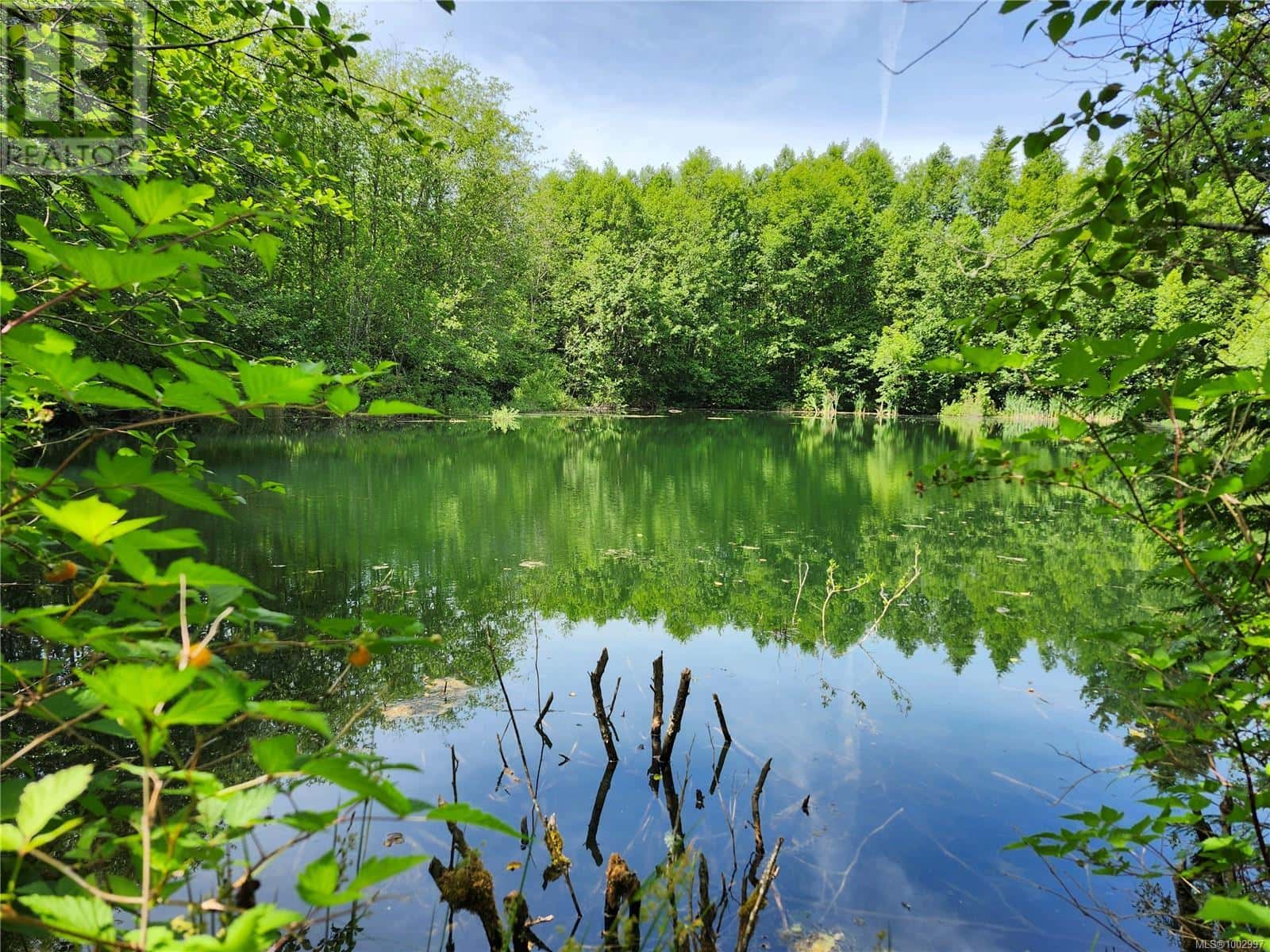 1075 SPIDER LAKE Road