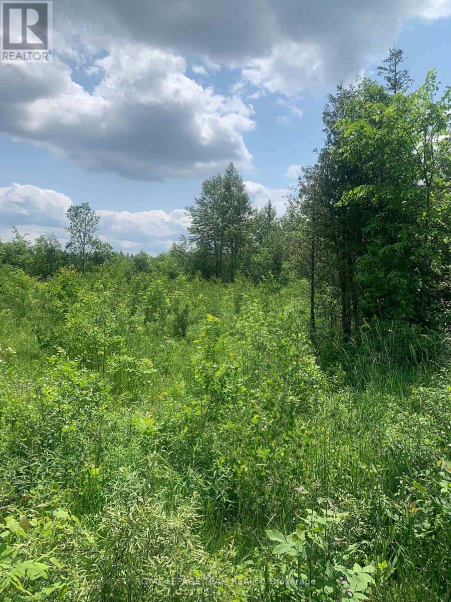 CON7LT2 BOLTON ROAD — Merrickville-Wolford, Ontario - Photo 3 of 7