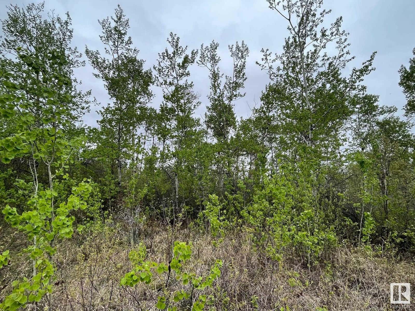 #10 60503 Rge Rd 470 — Rural Bonnyville M.D., Alberta - Photo 3 of 5