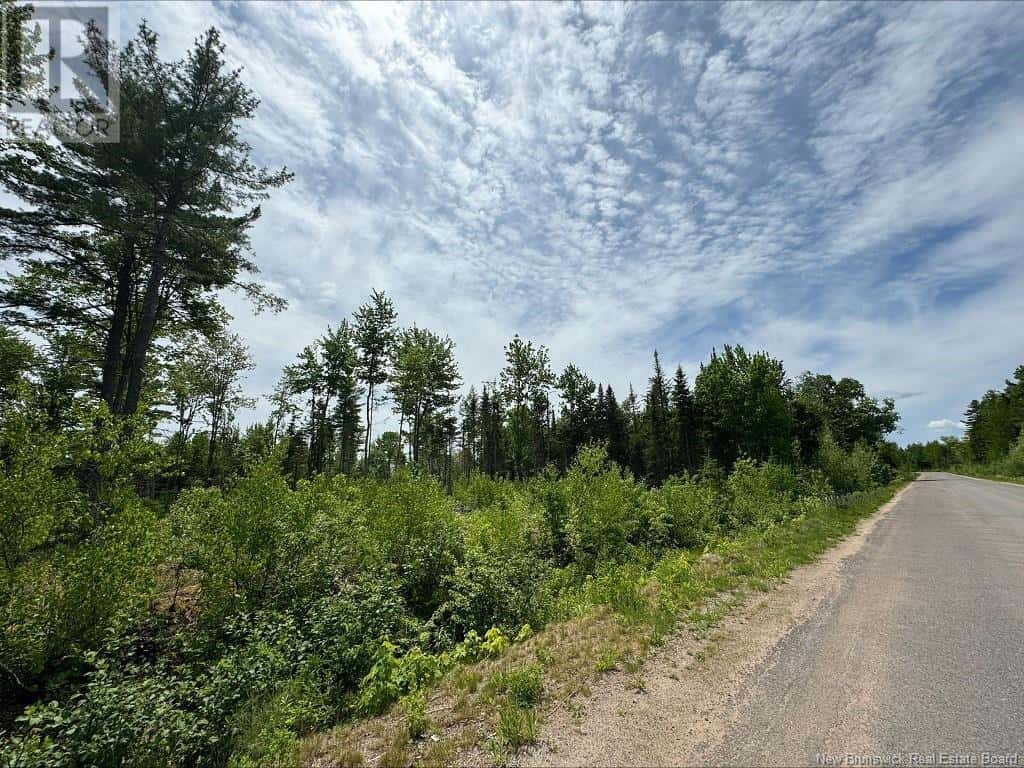 LOT Sunset View Lane — Cumberland Bay, New Brunswick - Photo 5 of 7