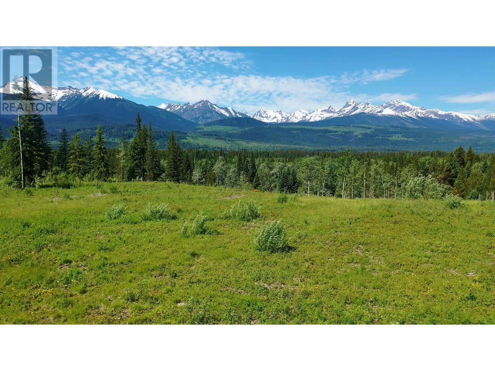 LOT 3 O'DWYER ROAD — Valemount, British Columbia - Photo 2 of 4