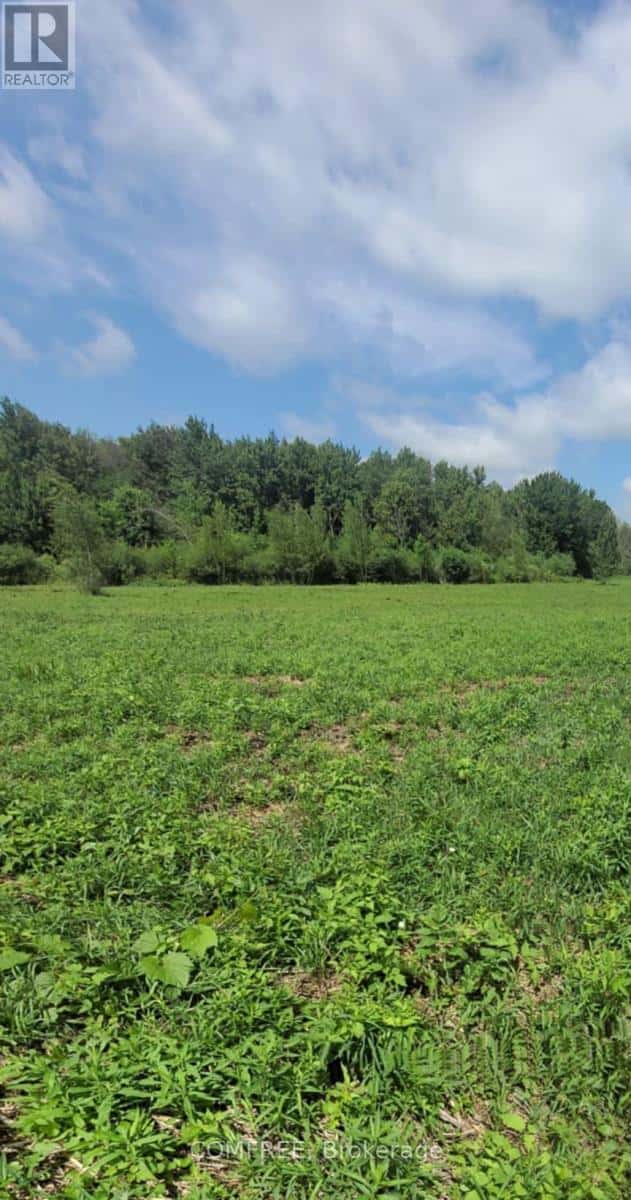 000 WILLY ALLAN ROAD — South Stormont, Ontario - Photo 2 of 4