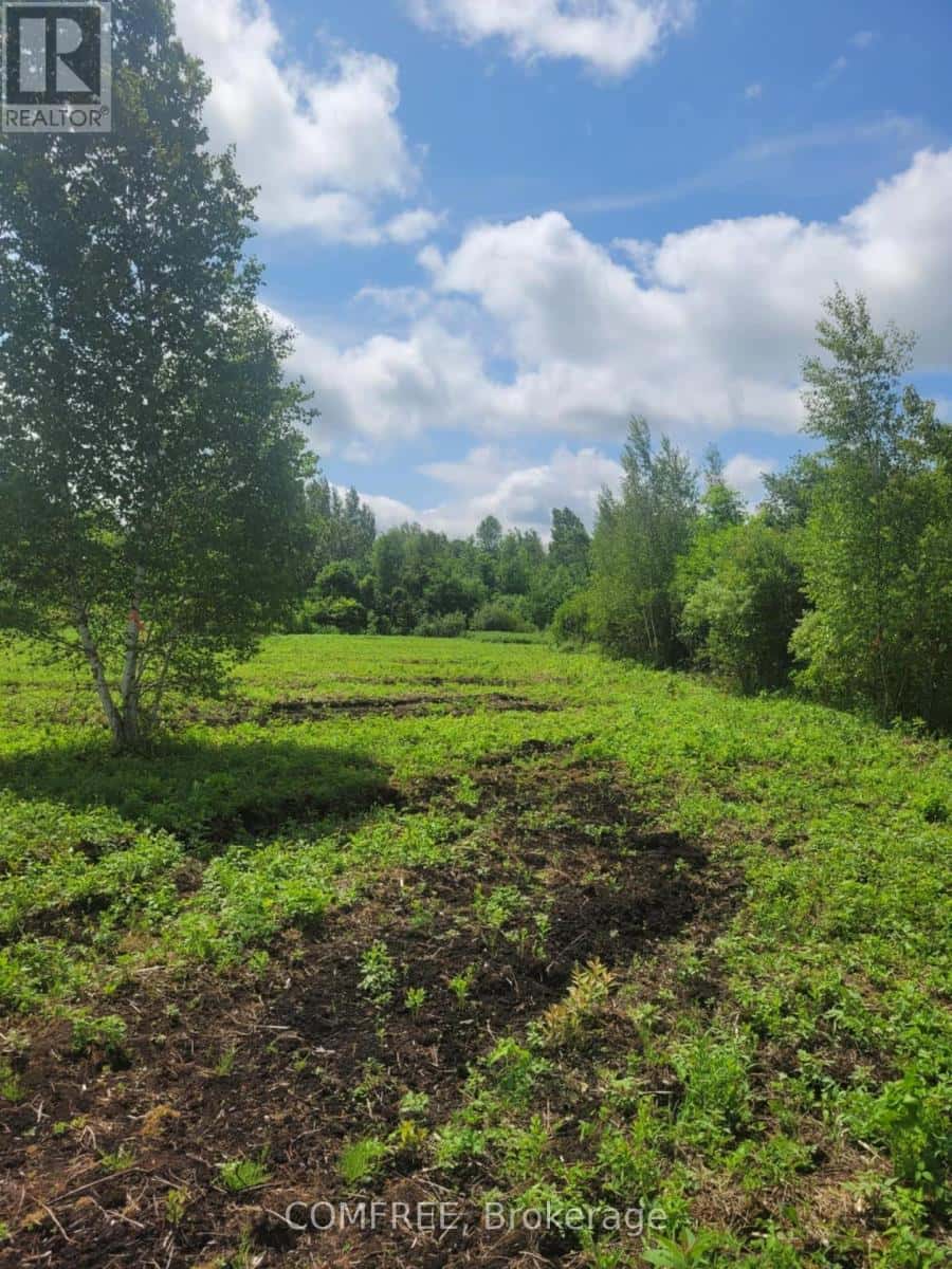 000 WILLY ALLAN ROAD — South Stormont, Ontario - Photo 3 of 4