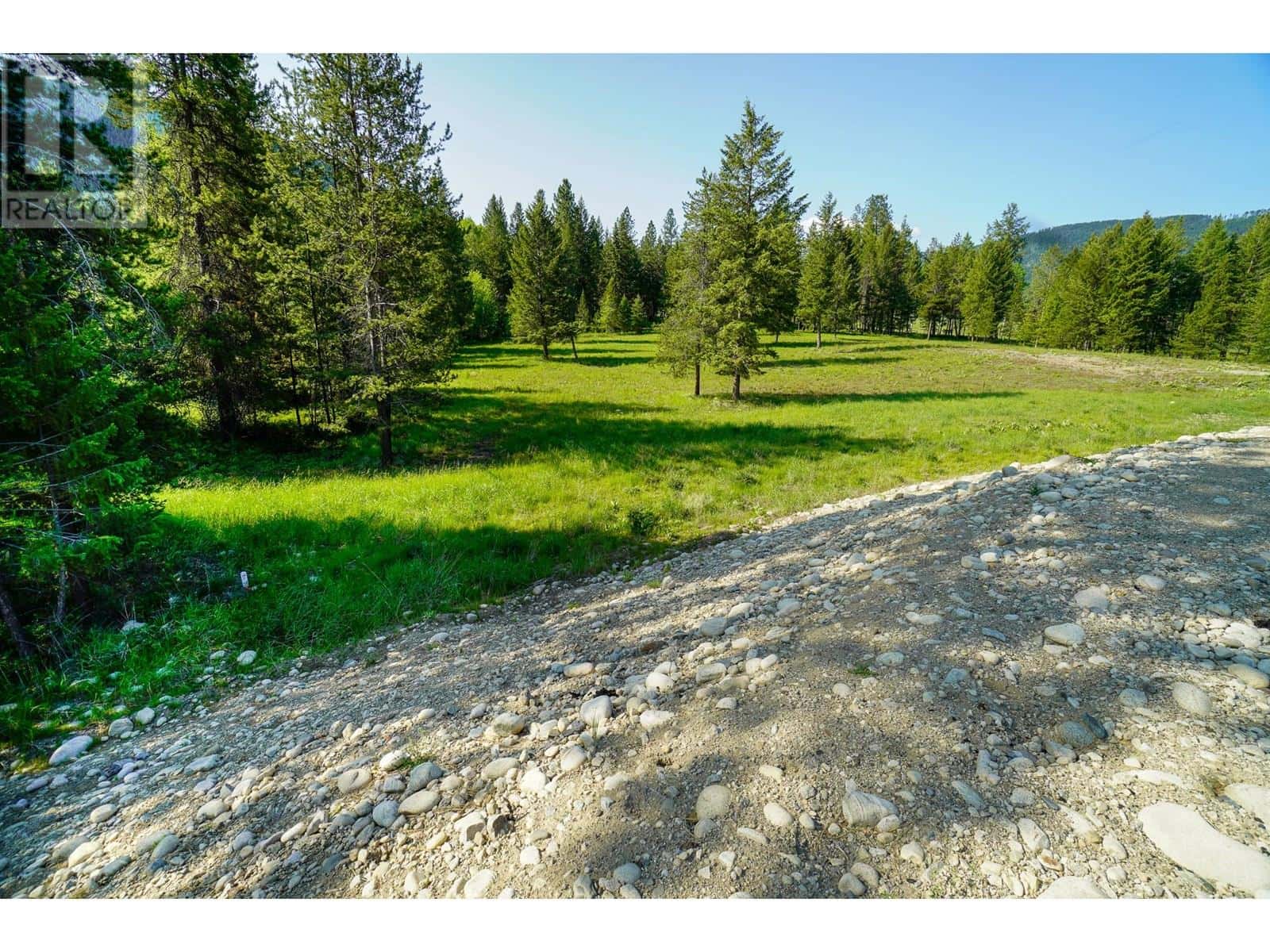 Lot 2 Mary G Road — Beaverdell, British Columbia - Photo 4 of 14