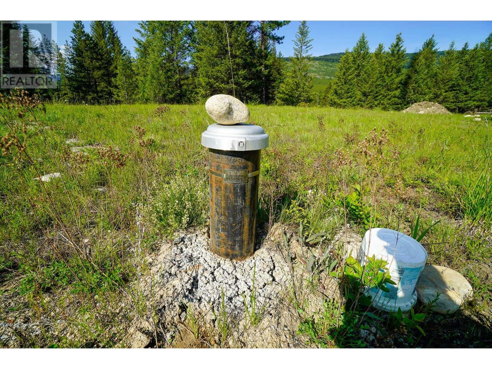 Lot 5 Mary G Road — Beaverdell, British Columbia - Photo 5 of 15