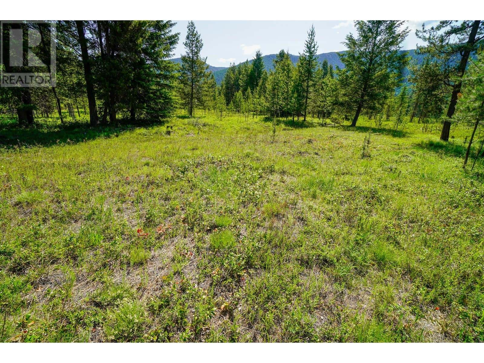 Lot 6 Mary G Road — Beaverdell, British Columbia - Photo 3 of 13