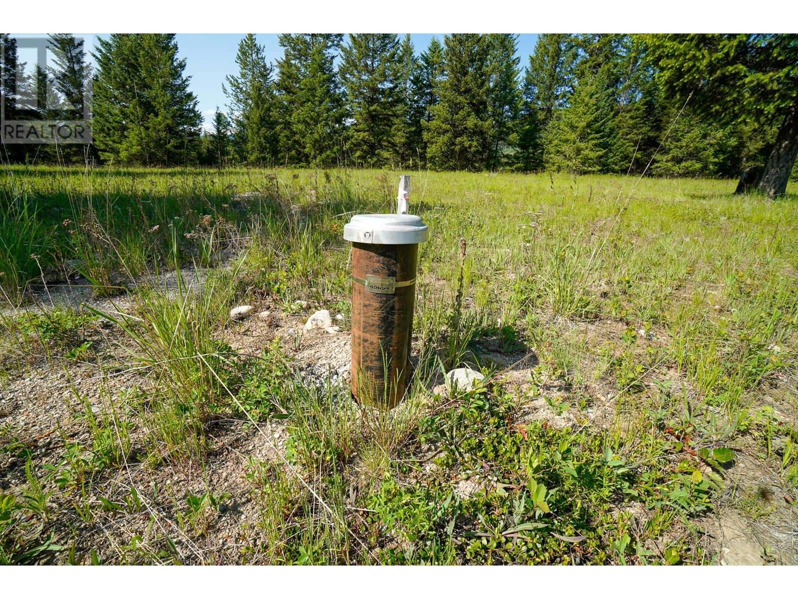 Lot 6 Mary G Road — Beaverdell, British Columbia - Photo 5 of 13