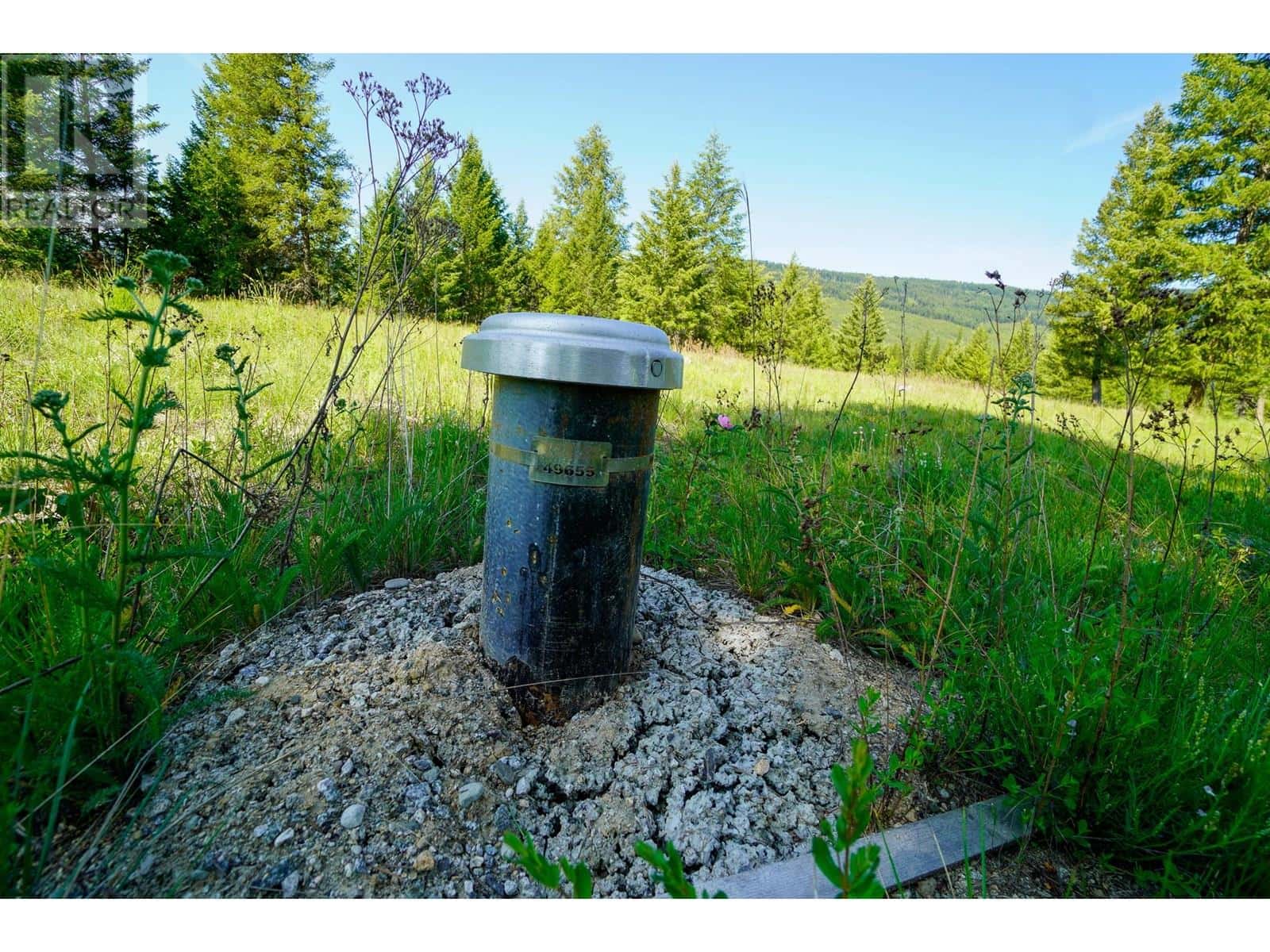 Lot 7 Mary G Road — Beaverdell, British Columbia - Photo 4 of 15