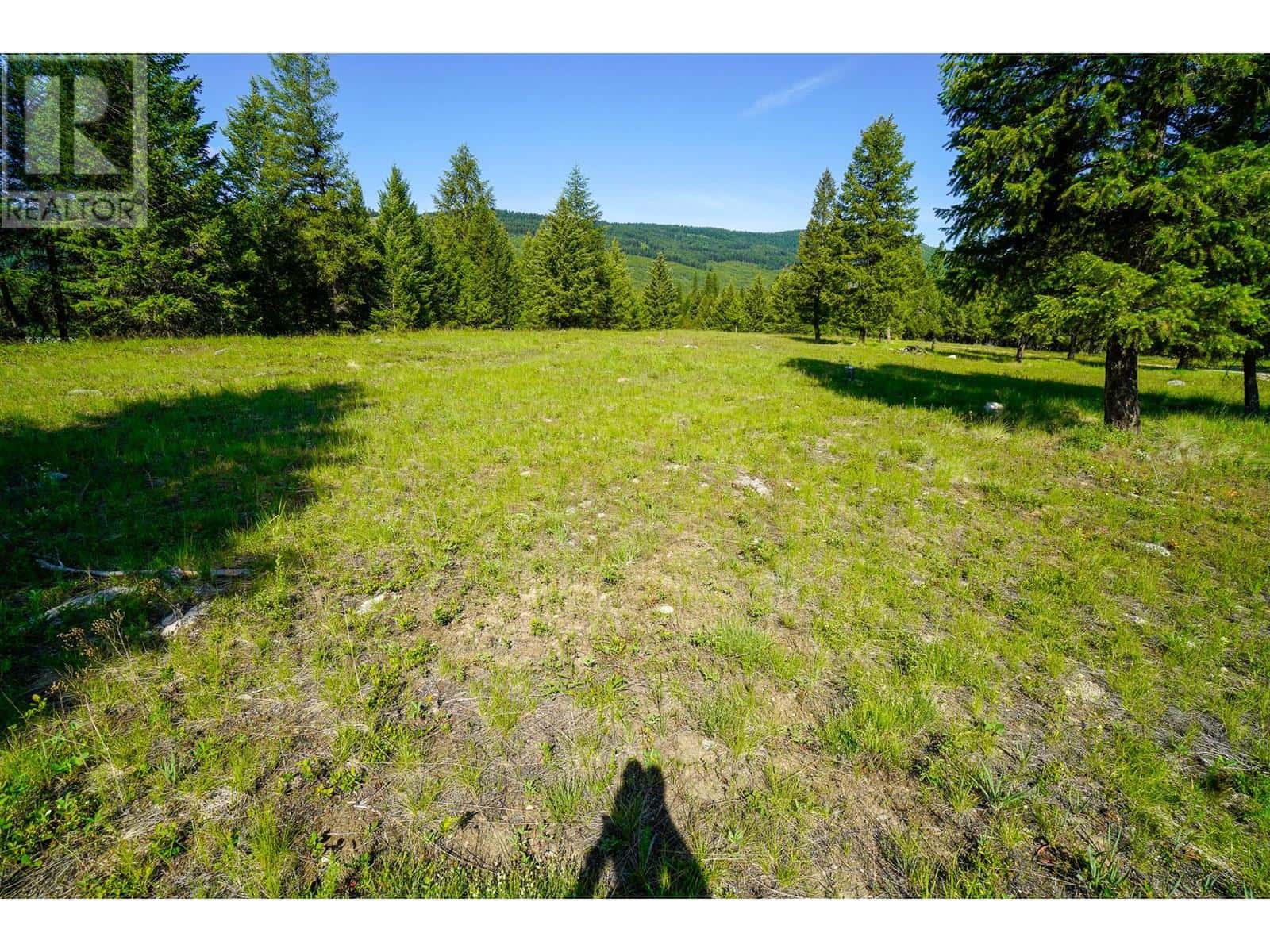 Lot 7 Mary G Road — Beaverdell, British Columbia - Photo 2 of 15