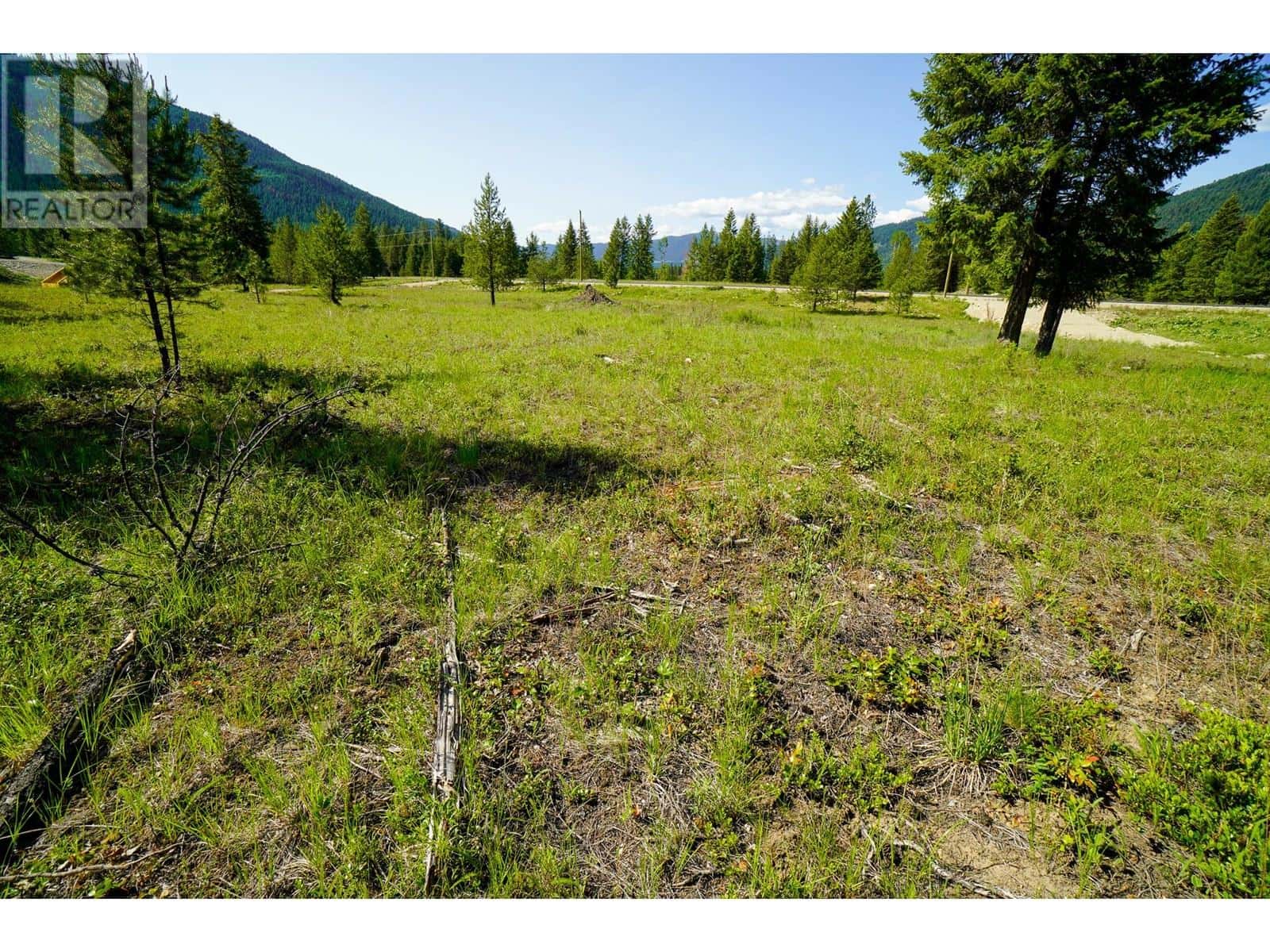 Lot 9 Mary G Road — Beaverdell, British Columbia - Photo 2 of 12
