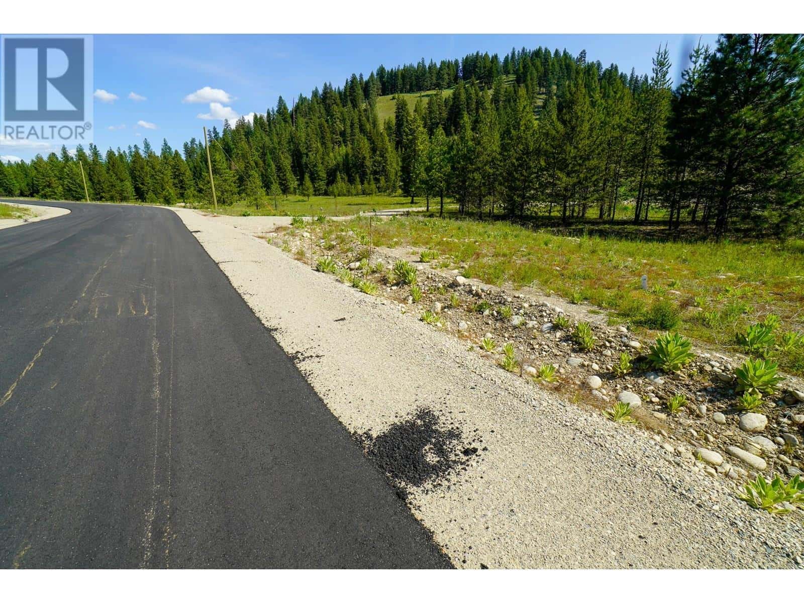 Lot 10 Mary G Road — Beaverdell, British Columbia - Photo 3 of 13