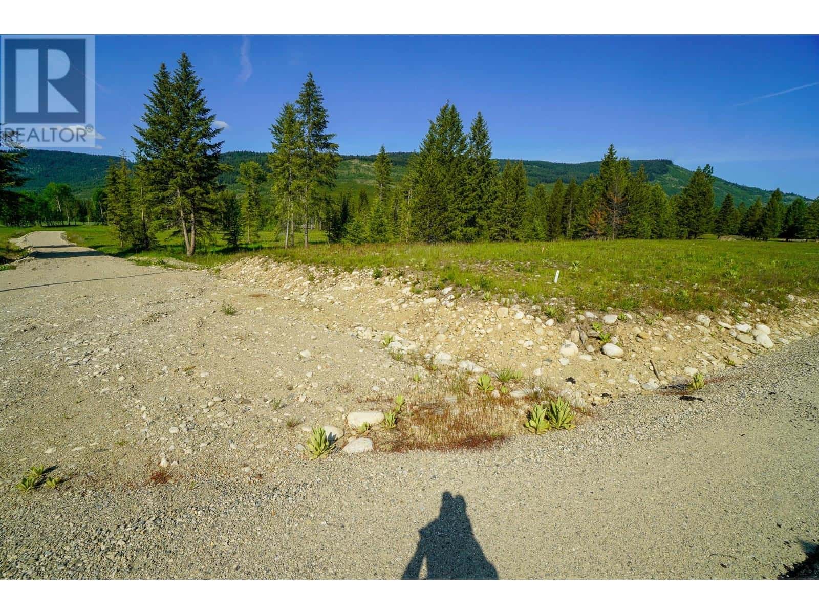 Lot 4 Mary G Road — Beaverdell, British Columbia - Photo 3 of 15
