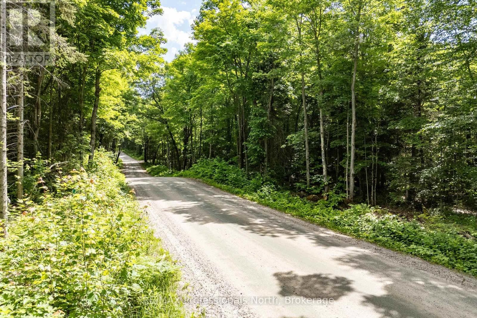 0 SOUTH HORN LAKE ROAD — Ryerson, Ontario - Main photo