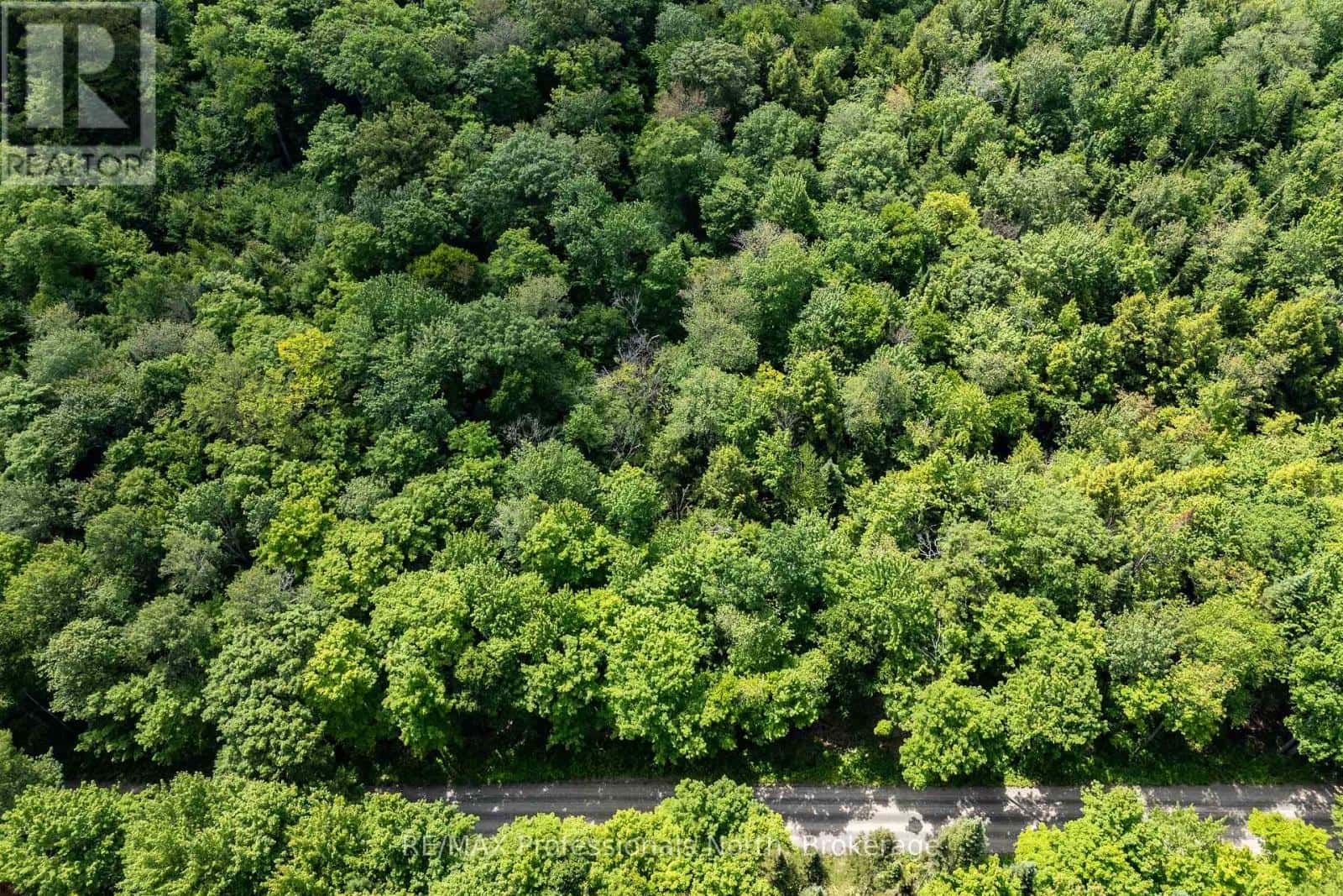 0 SOUTH HORN LAKE ROAD — Ryerson, Ontario - Photo 2 of 12