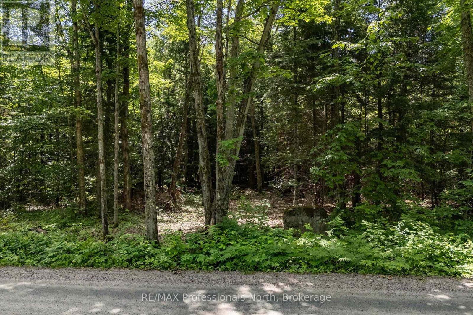 0 SOUTH HORN LAKE ROAD — Ryerson, Ontario - Photo 5 of 12