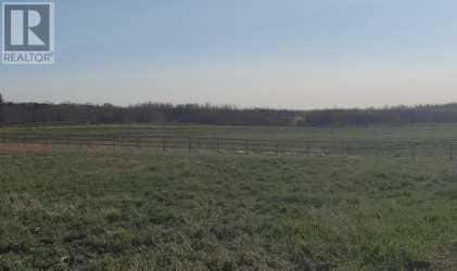 48038 295 Avenue E — De Winton, Alberta - Photo 5 of 8