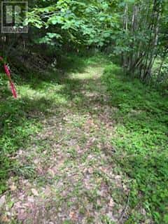 1085 OLD MINE ROAD — Frontenac (Frontenac South), Ontario - Photo 2 of 33