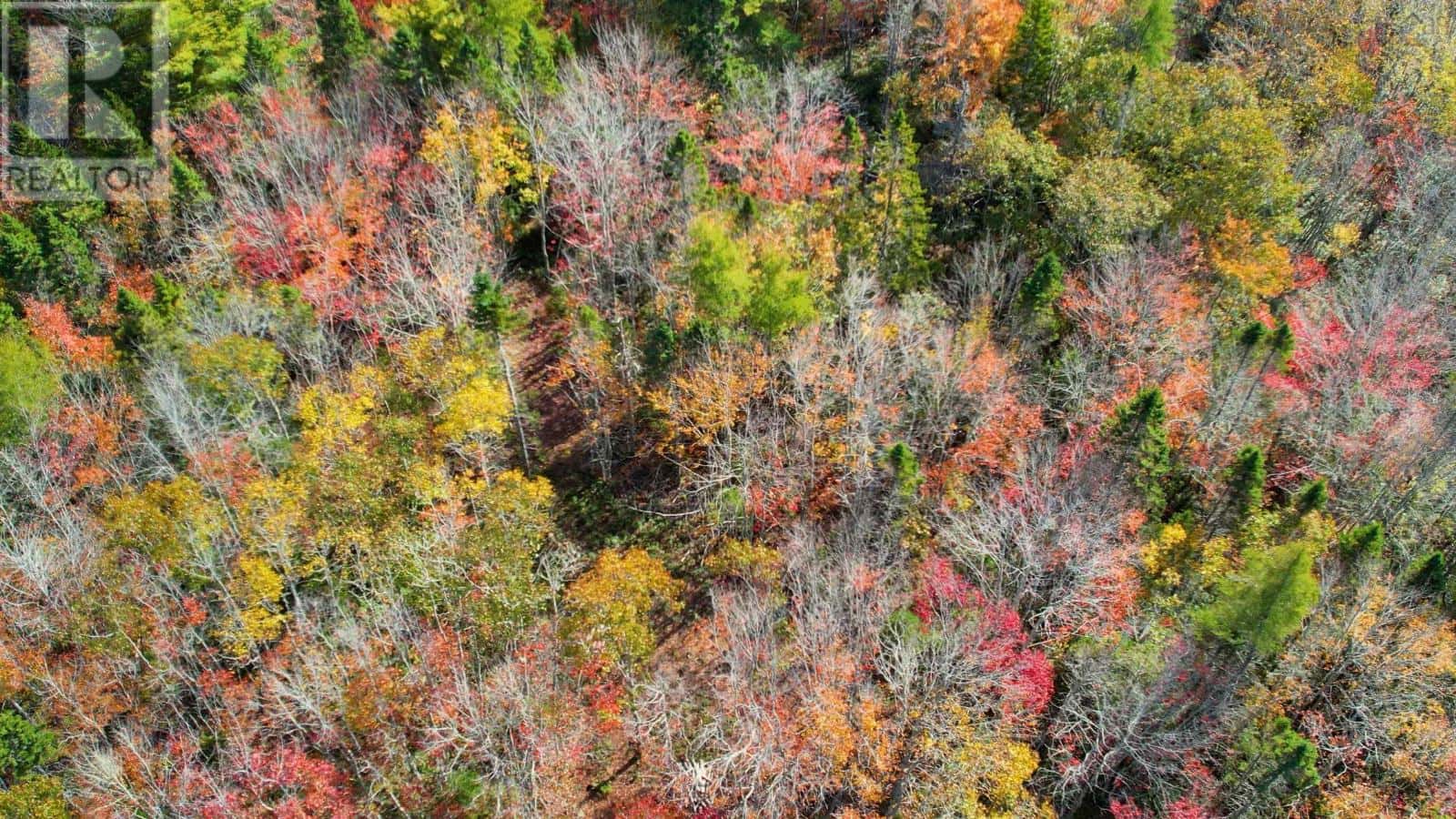 61 Morton Drive — Liverpool, Nova Scotia - Photo 5 of 10