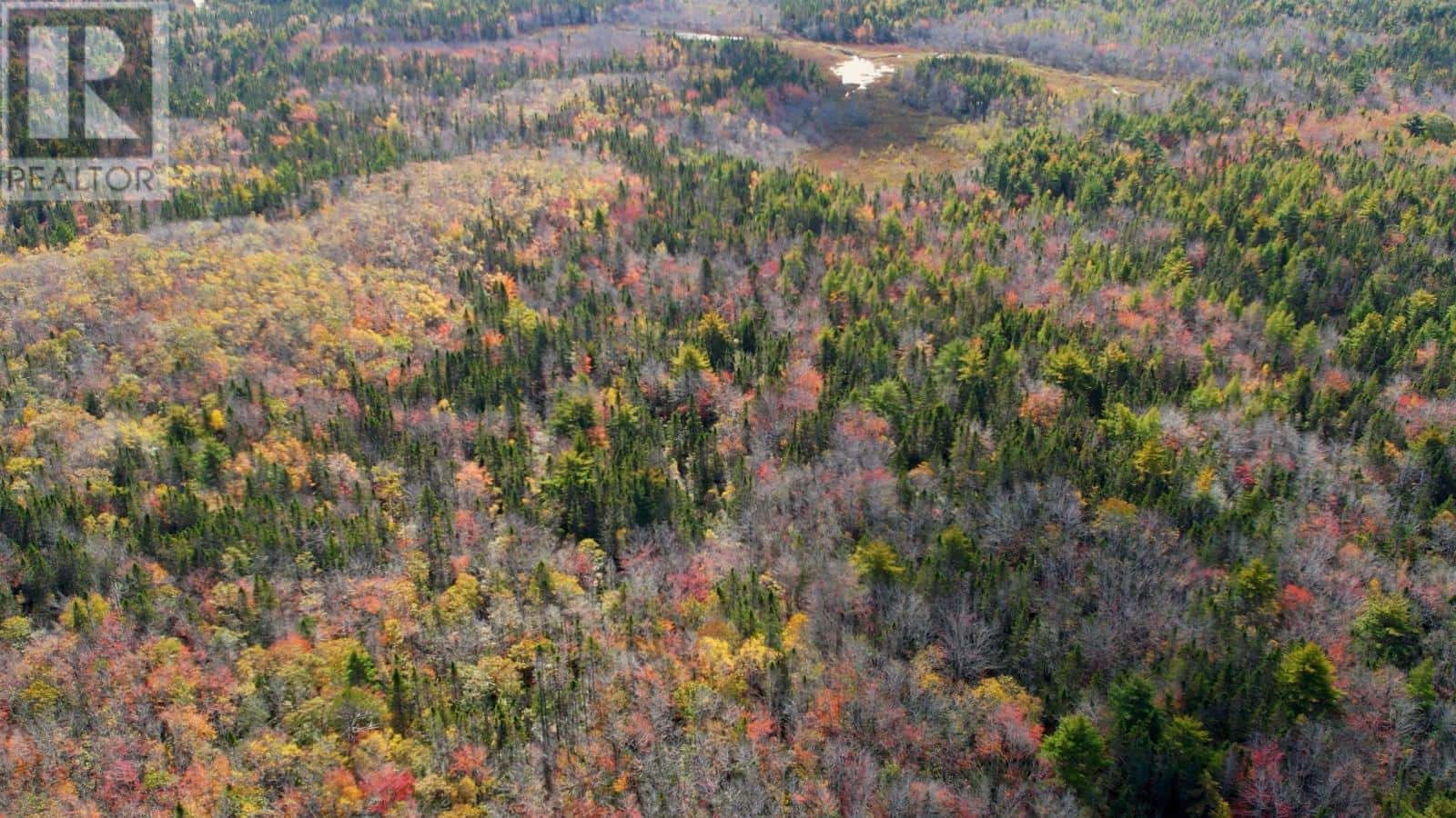 61 Morton Drive — Liverpool, Nova Scotia - Photo 3 of 10