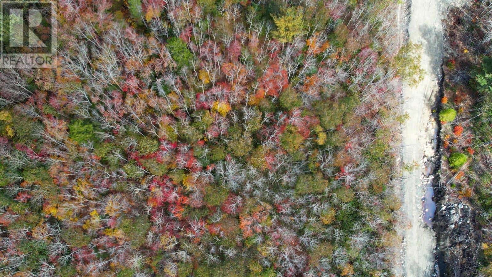 61 Morton Drive — Liverpool, Nova Scotia - Photo 4 of 10