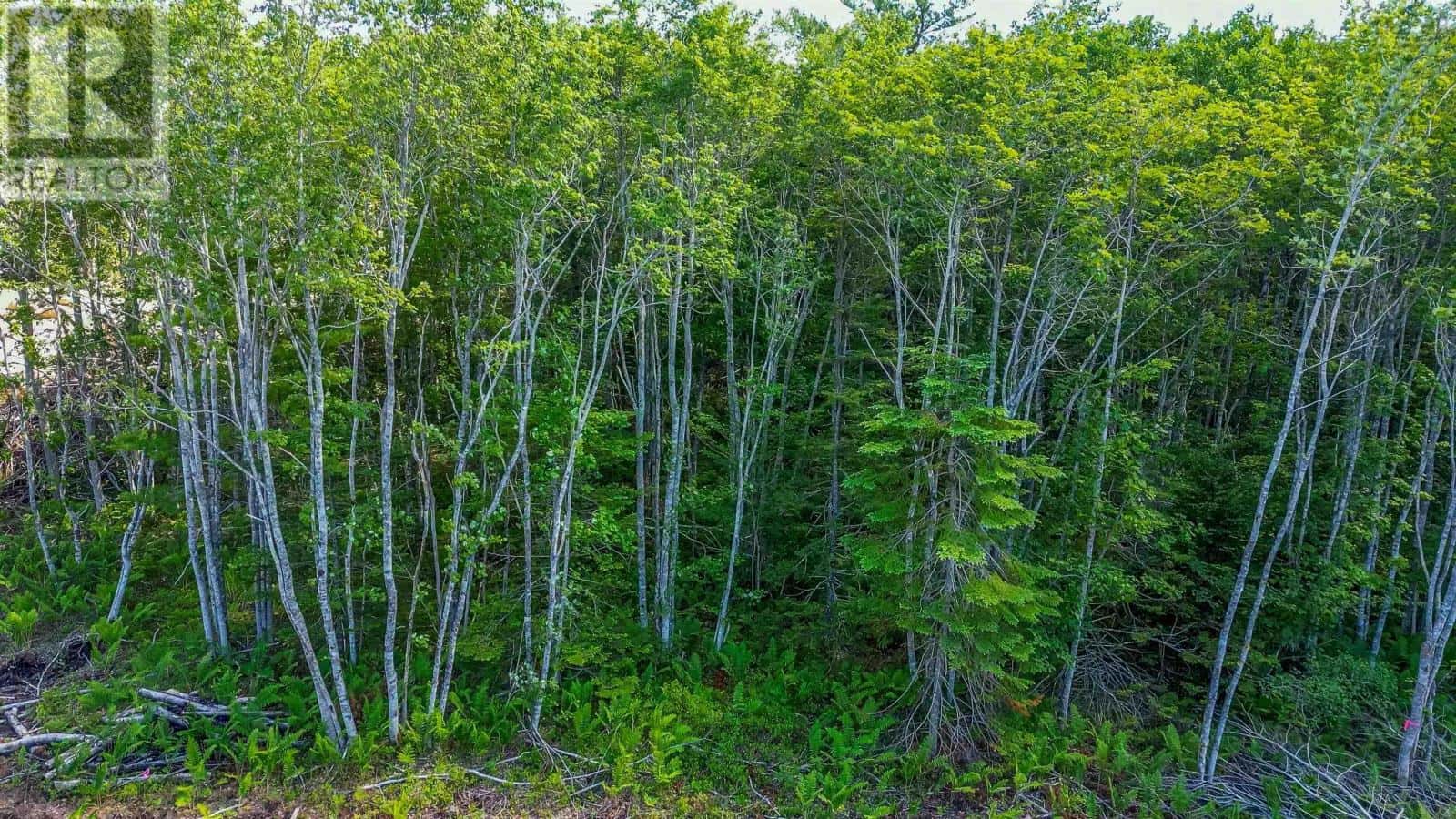 69 Morton Drive — Liverpool, Nova Scotia - Photo 4 of 4