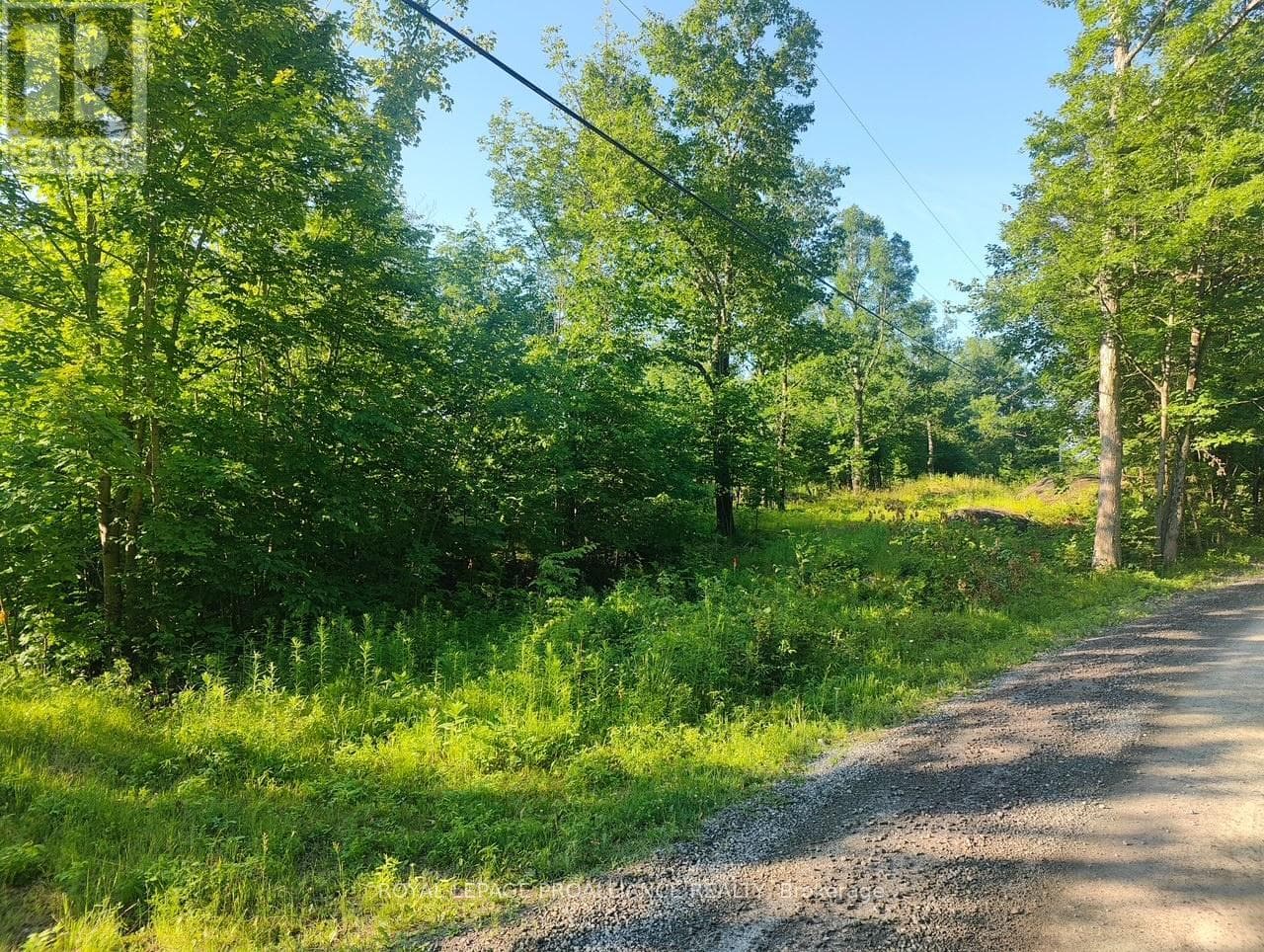 621A COOK ROAD — Marmora and Lake (Lake Ward), Ontario - Main photo