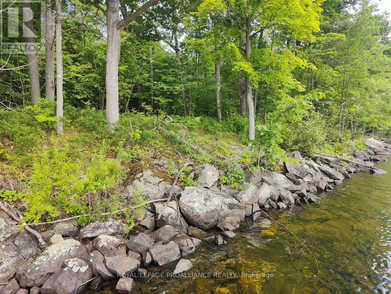 621A COOK ROAD — Marmora and Lake (Lake Ward), Ontario - Photo 3 of 13