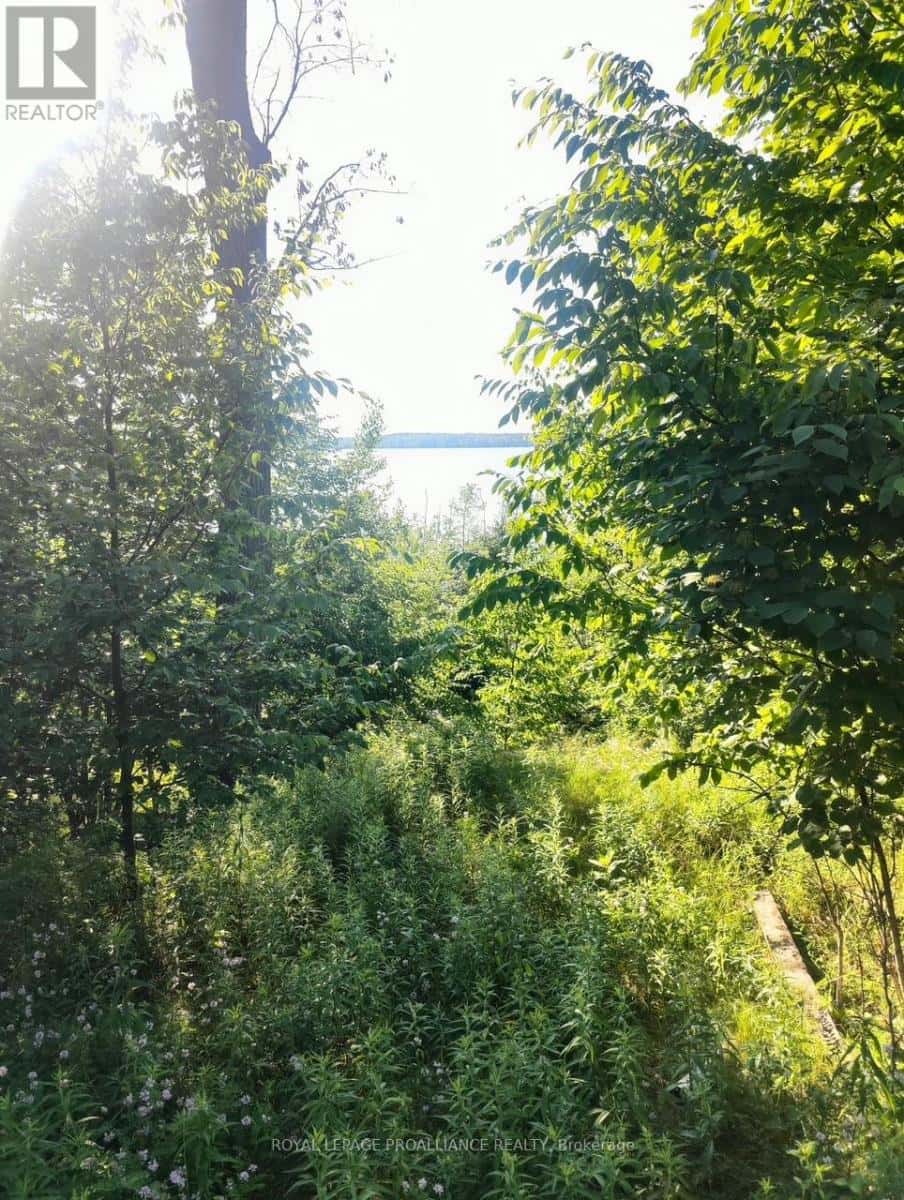 621A COOK ROAD — Marmora and Lake (Lake Ward), Ontario - Photo 5 of 13