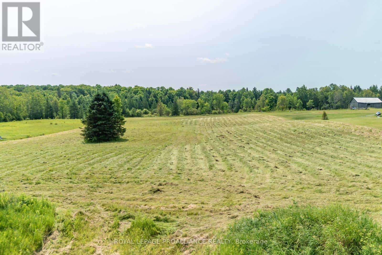 1226 GULL LAKE ROAD — Frontenac (Frontenac North), Ontario - Photo 3 of 22