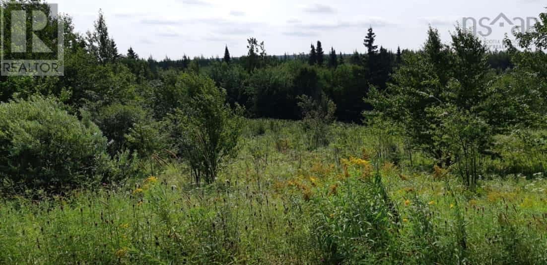 Lot Salem Road — Enon, Nova Scotia - Photo 4 of 5