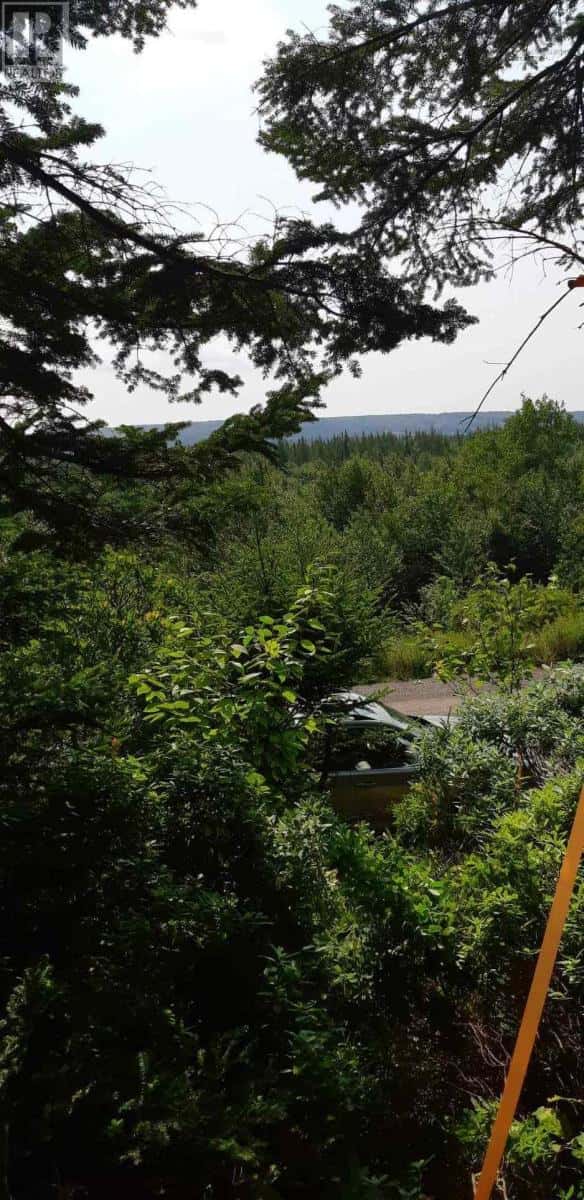 Lot Salem Road — Enon, Nova Scotia - Photo 5 of 5