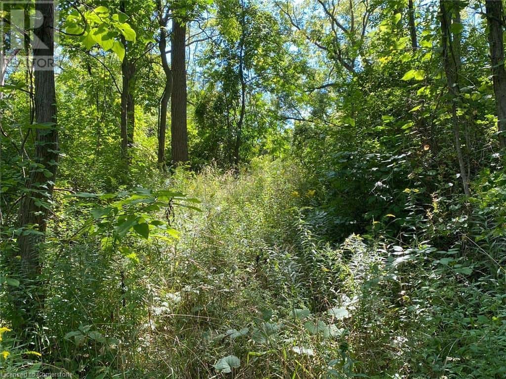 PT LT 3 EFFINGHAM Street — Fonthill, Ontario - Photo 2 of 15