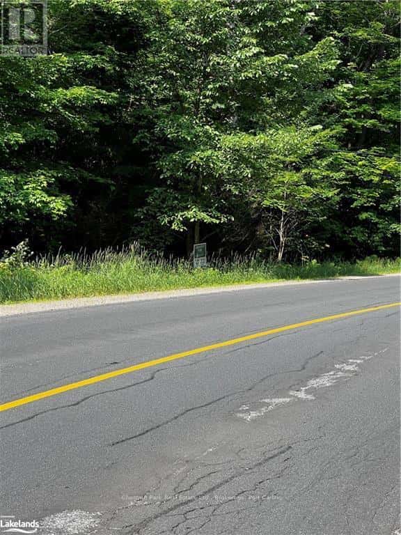 4655 ASPDIN ROAD — Muskoka Lakes (Cardwell), Ontario - Photo 4 of 23