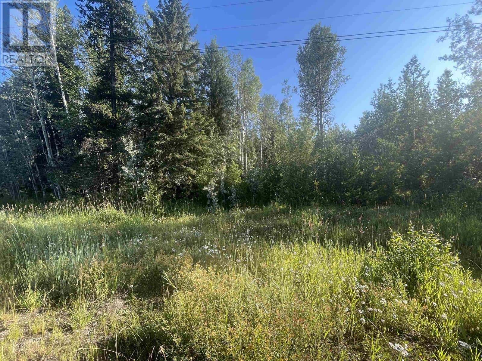 16 HIGHWAY — Smithers, British Columbia - Photo 2 of 26