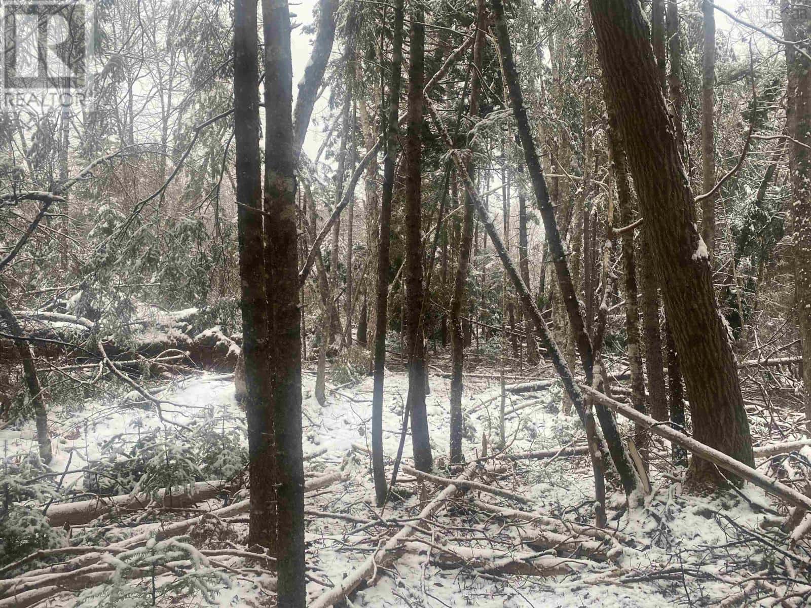 Lot 9 Highway 357 — Musquodoboit Harbour, Nova Scotia - Photo 4 of 5