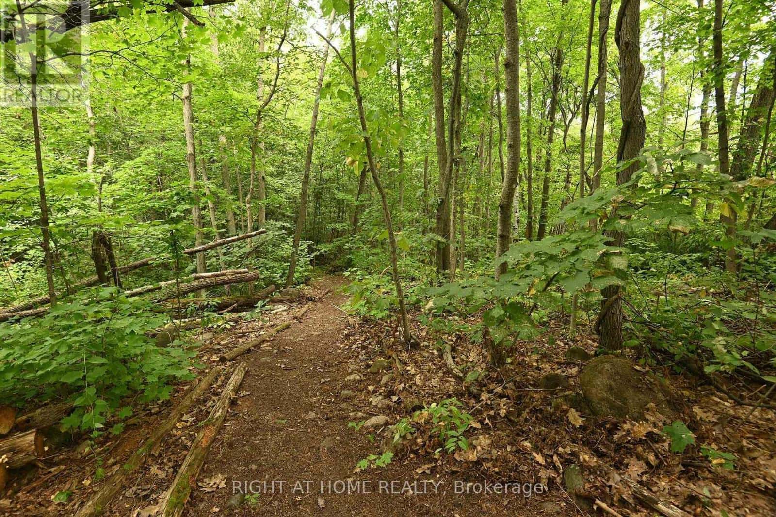 WC21 HARDWOOD ISLAND EAST — West Nipissing (Verner), Ontario - Photo 5 of 44