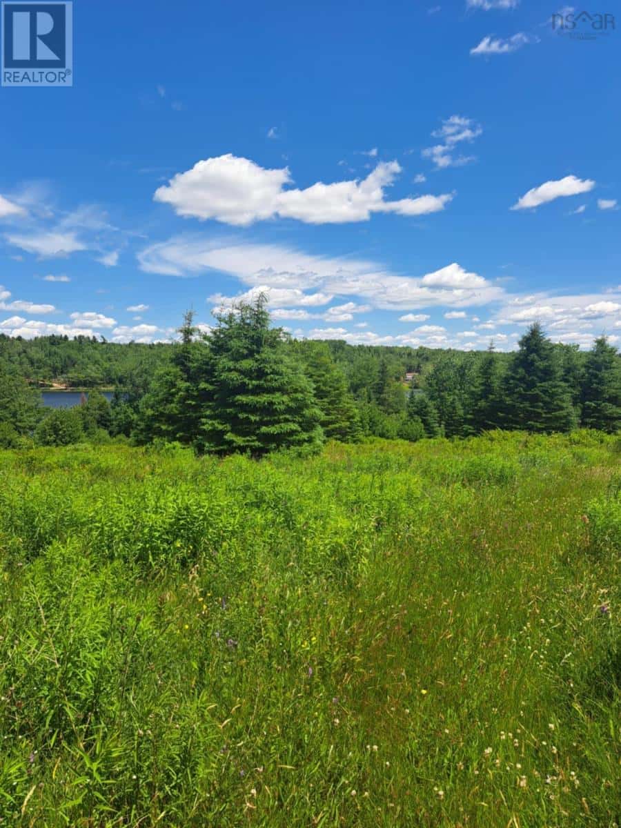 Lot 2 Lake Egmont Road — Lake Egmont, Nova Scotia - Photo 3 of 11