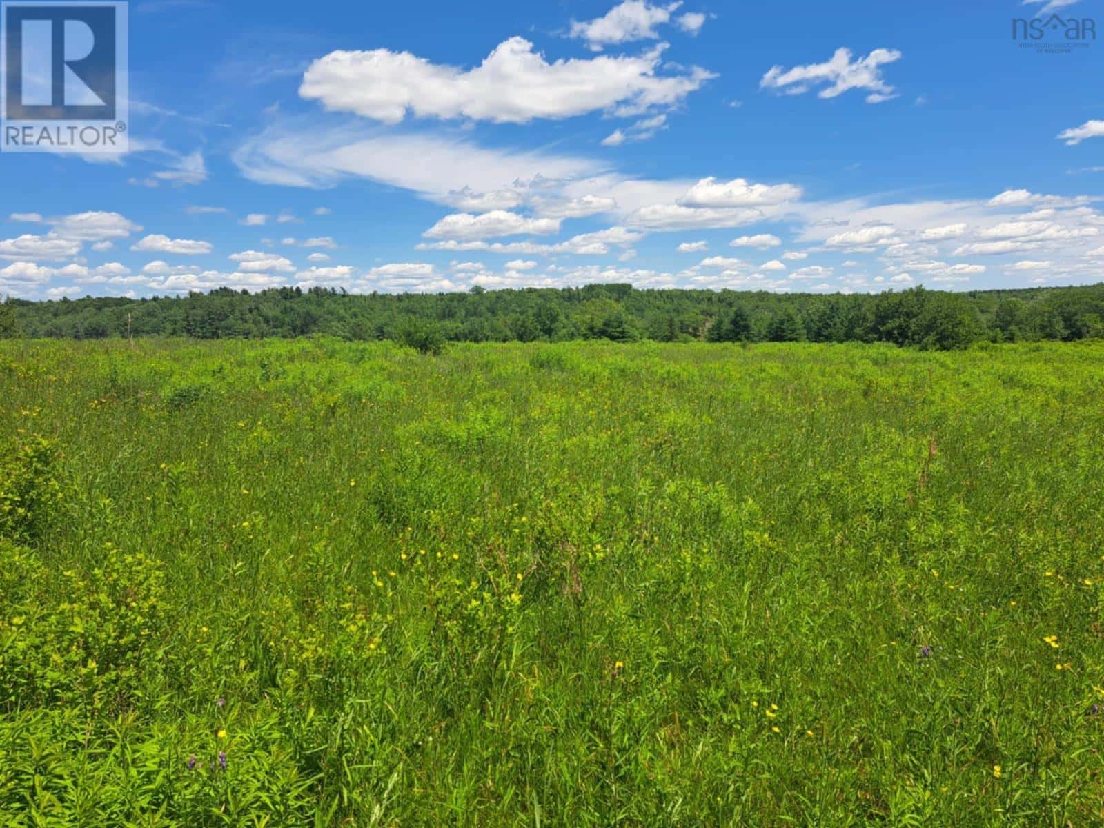 Lot 2 Lake Egmont Road — Lake Egmont, Nova Scotia - Photo 2 of 11
