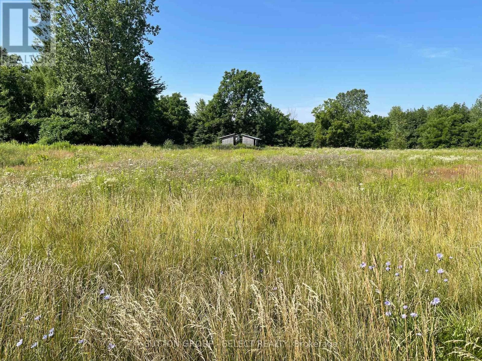 180 JANE STREET — West Elgin (Rodney), Ontario - Main photo